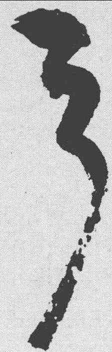 弓,祝允明 ,書法字典
