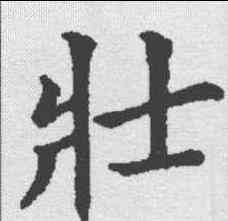壮,五經文字 ,書法字典