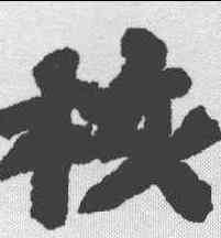 核,蘇軾 ,書法字典