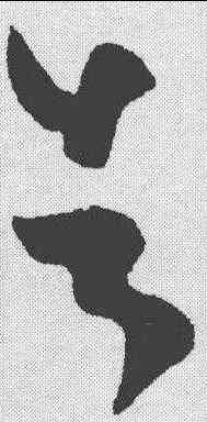 告,王羲之 ,書法字典
