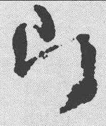 片,王鐸 ,書法字典