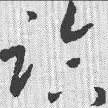 临,趙昚 ,書法字典