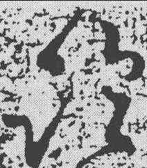 临,王獻之 ,書法字典