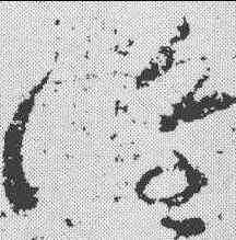 谁,張芝 ,書法字典