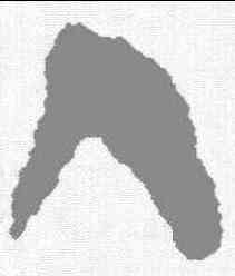 入,秦簡 ,書法字典