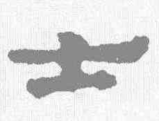 士,武威簡 ,書法字典