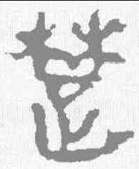 楚,馬王堆帛書 ,書法字典