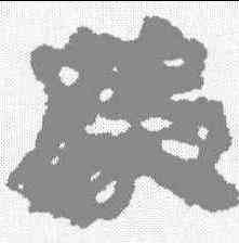 荐,武威簡 ,書法字典