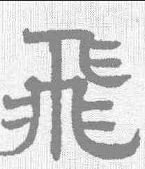 飞,趙孟𫖯 ,書法字典
