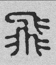 飞,釋德源 ,書法字典