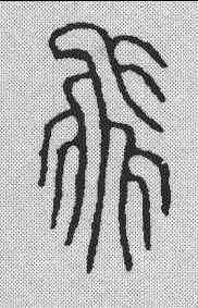 飞,汪啟淑 ,書法字典
