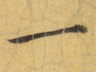 蘇軾行書一字書法寫法